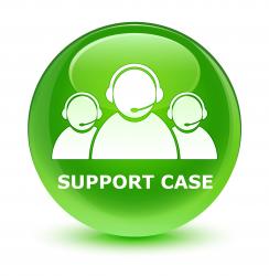Support Case (One Hour Per Incident)